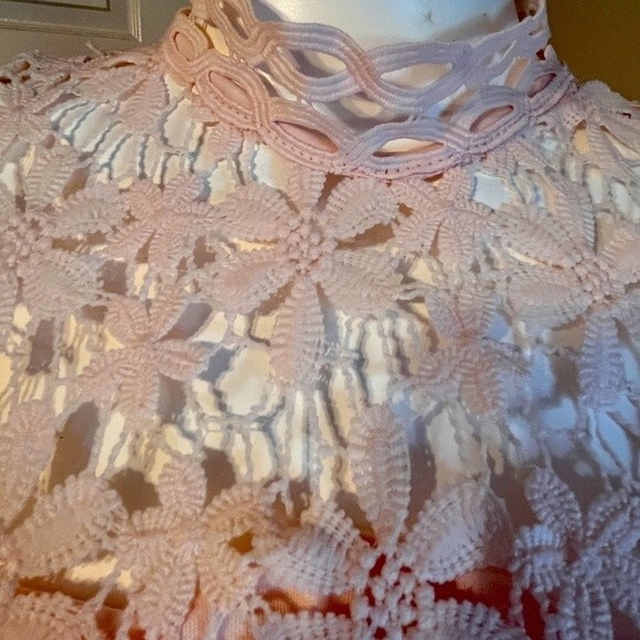 BooHoo Petal pink Embroidered Lace Dress Sz 14 Women's  NWT - Picture 10 of 10